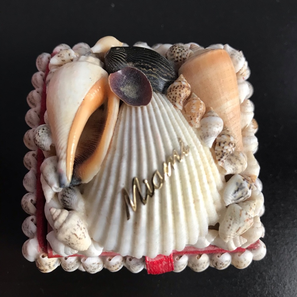 Seashell jewelry box